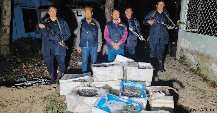 যশোরে জেলি পুশ করা ৬০০ কেজি চিংড়ি ধ্বংস