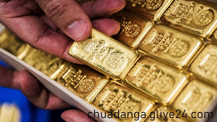 পাচারকারীর ফেলে যাওয়া ব্যাগে মিললো ৮২টি সোনার বার