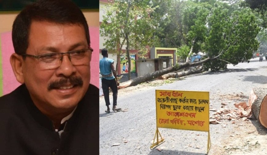 গাছচুরির মহোৎসব